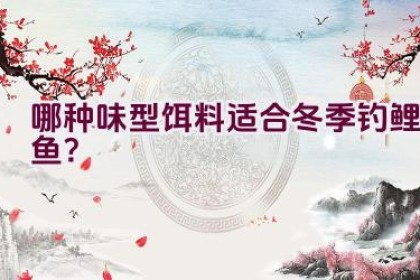 哪种味型饵料适合冬季钓鲤鱼？