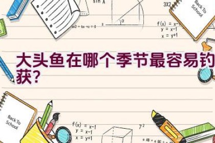 大头鱼在哪个季节最容易钓获？