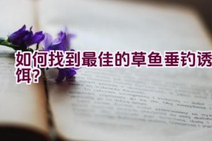 如何找到最佳的草鱼垂钓诱饵？