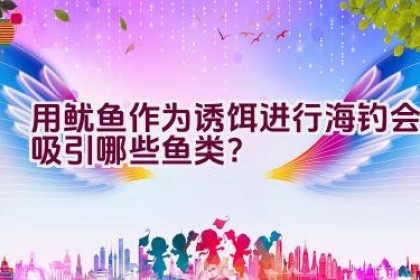 用鱿鱼作为诱饵进行海钓会吸引哪些鱼类？