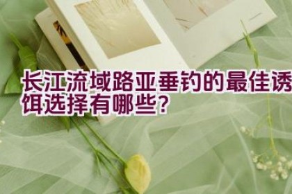 长江流域路亚垂钓的最佳诱饵选择有哪些？