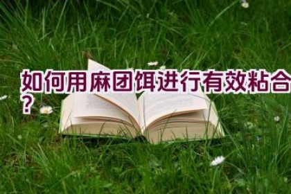 如何用麻团饵进行有效粘合？