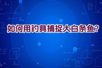 如何用钓具捕捉大白条鱼？