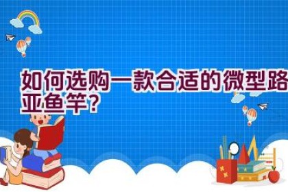 如何选购一款合适的微型路亚鱼竿？