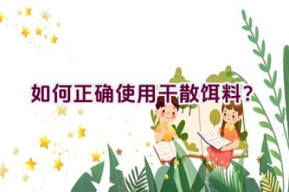 如何正确使用干散饵料？