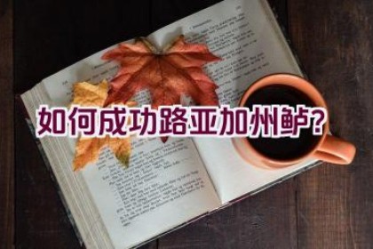 如何成功路亚加州鲈？