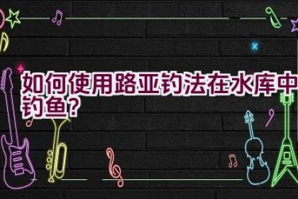 如何使用路亚钓法在水库中钓鱼？