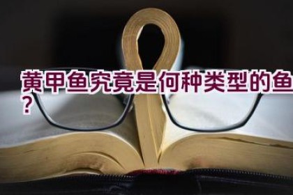 黄甲鱼究竟是何种类型的鱼？