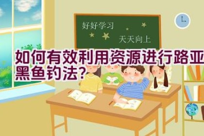 如何有效利用资源进行路亚黑鱼钓法？