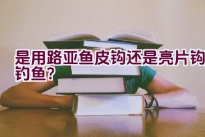 是用路亚鱼皮钩还是亮片钩钓鱼？