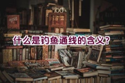 “什么是’钓鱼通线’的含义？”