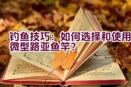钓鱼技巧：如何选择和使用微型路亚鱼竿？