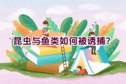 昆虫与鱼类如何被诱捕？