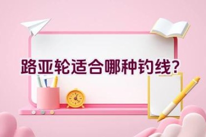 路亚轮适合哪种钓线？