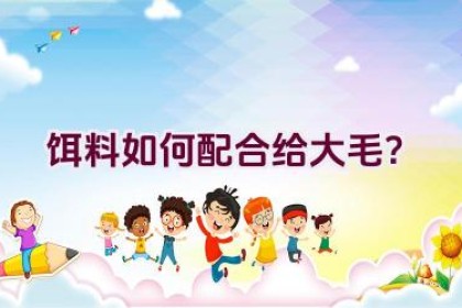 “饵料如何配合给大毛？”