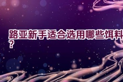 路亚新手适合选用哪些饵料？