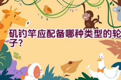 矶钓竿应配备哪种类型的轮子？