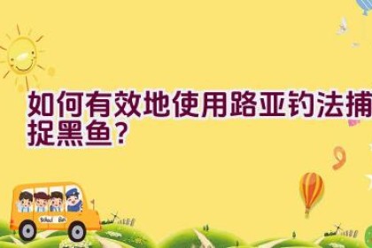 如何有效地使用路亚钓法捕捉黑鱼？