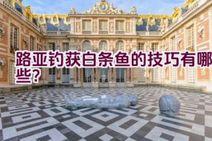 路亚钓获白条鱼的技巧有哪些？
