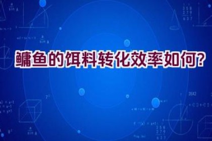 鳙鱼的饵料转化效率如何？