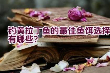 钓黄拉丁鱼的最佳鱼饵选择有哪些？