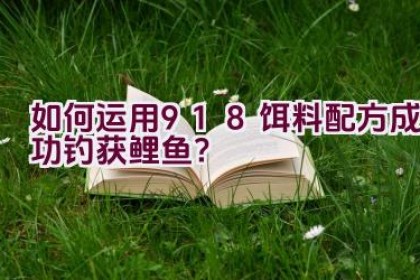 如何运用918饵料配方成功钓获鲤鱼？