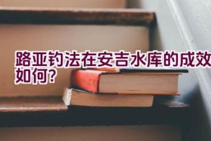 路亚钓法在安吉水库的成效如何？
