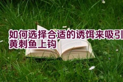 如何选择合适的诱饵来吸引黄刺鱼上钩