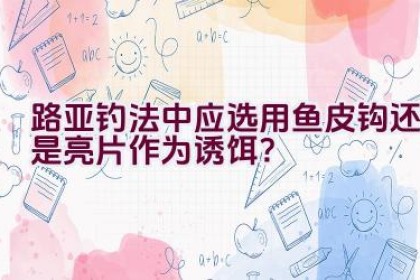 路亚钓法中应选用鱼皮钩还是亮片作为诱饵？