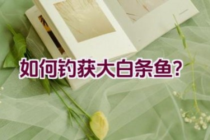 如何钓获大白条鱼？