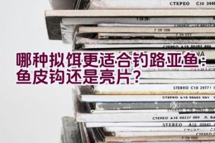 哪种拟饵更适合钓路亚鱼：鱼皮钩还是亮片？