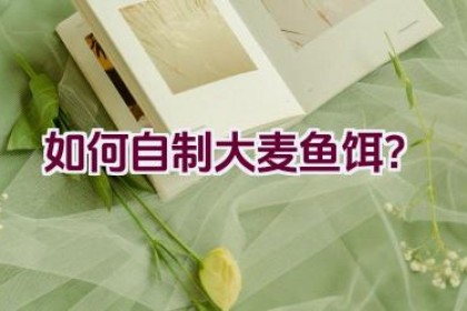如何自制大麦鱼饵？