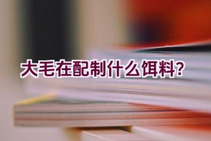 大毛在配制什么饵料？