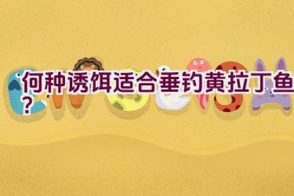 何种诱饵适合垂钓黄拉丁鱼？