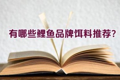 有哪些鲤鱼品牌饵料推荐？