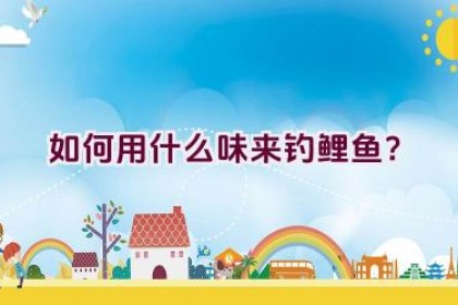 如何用什么味来钓鲤鱼？