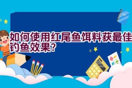 如何使用红尾鱼饵料获最佳钓鱼效果？