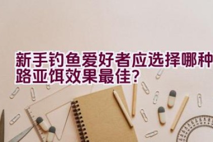 新手钓鱼爱好者应选择哪种路亚饵效果最佳？