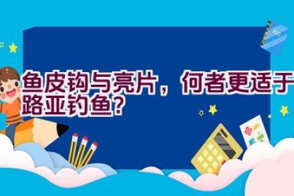 鱼皮钩与亮片，何者更适于路亚钓鱼？