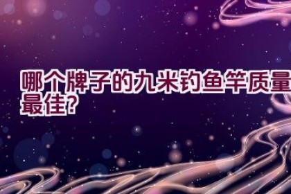 哪个牌子的九米钓鱼竿质量最佳？