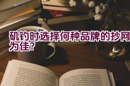 矶钓时选择何种品牌的抄网为佳？