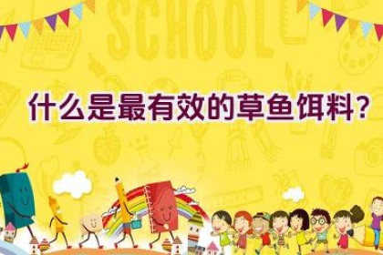什么是最有效的草鱼饵料？