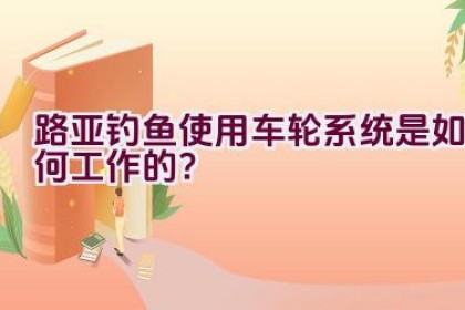 路亚钓鱼使用车轮系统是如何工作的？