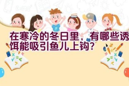 在寒冷的冬日里，有哪些诱饵能吸引鱼儿上钩？