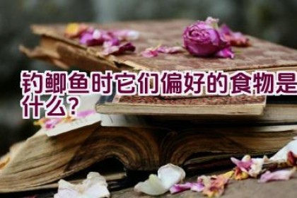 钓鲫鱼时它们偏好的食物是什么？