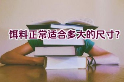 饵料正常适合多大的尺寸？
