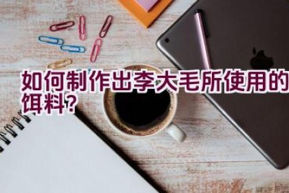 如何制作出李大毛所使用的饵料？