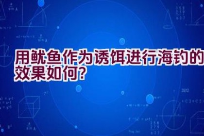 用鱿鱼作为诱饵进行海钓的效果如何？