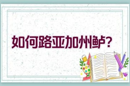 如何路亚加州鲈？