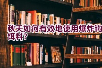 秋天如何有效地使用爆炸钩饵料？